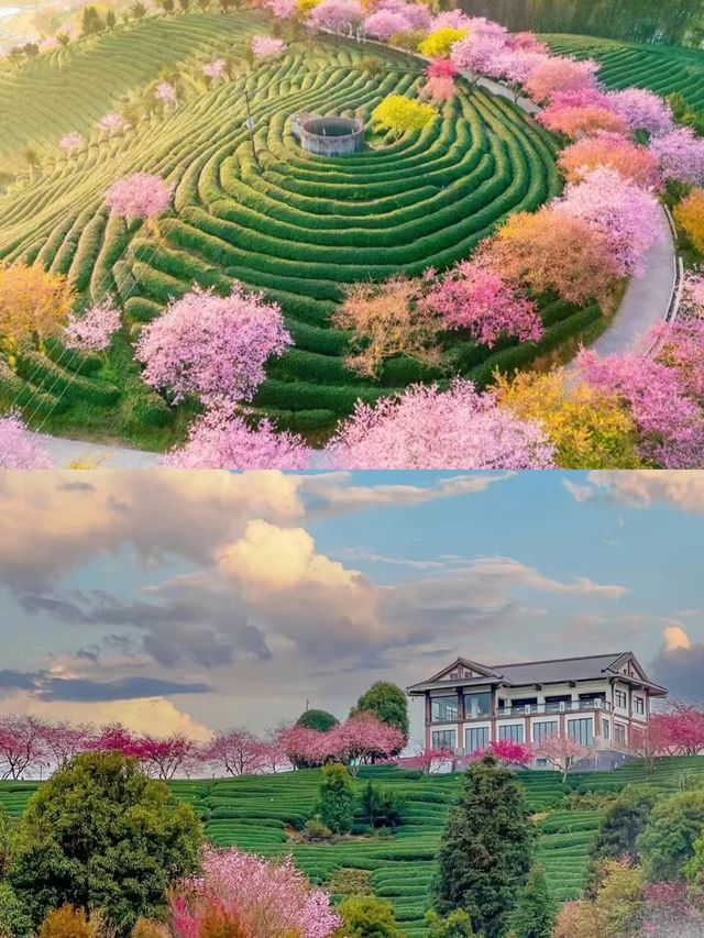 永福受罪已回，要去的姊妹慎重。