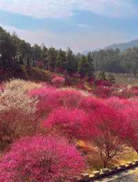 十堰秦巴植物園