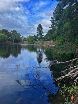 Wilson Botanic Park