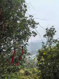 春來尋夢石竹山