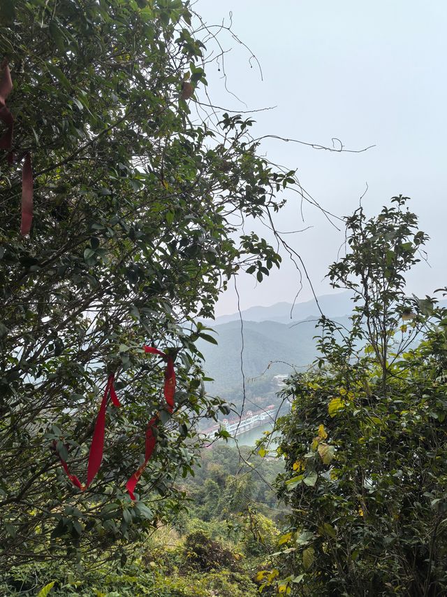 春來尋夢石竹山