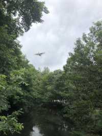 貴陽不容錯過的阿哈湖濕地公園