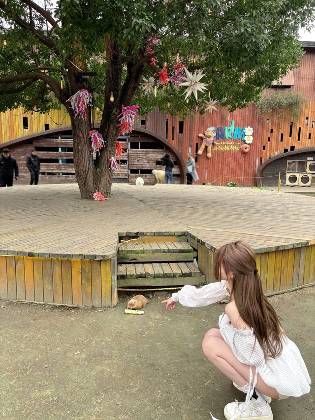 小島動物園