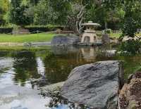 澳洲洛克咸頓植物園：大自然的綠色天堂 