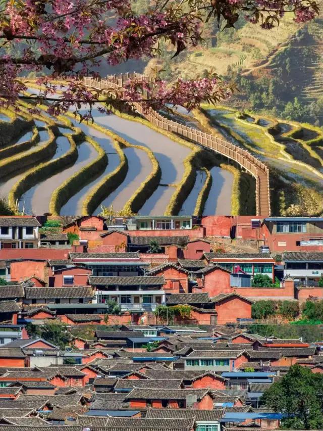 攀枝花受罪已回，要去的姊妹慎重。