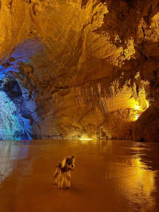 Guangdong Shaoguan-Yingde Hot Spring Tour: Enjoy the Gifts of Nature
