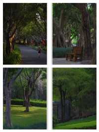 廈門寶藏公園竟然還有人不知道！