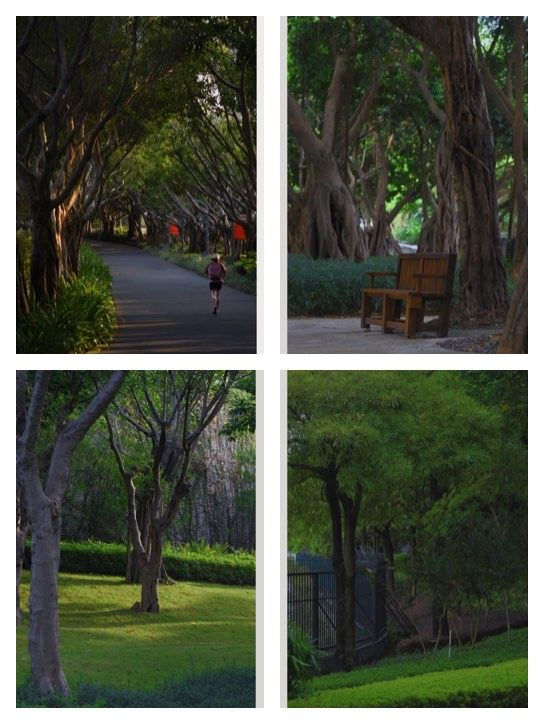 廈門寶藏公園竟然還有人不知道！