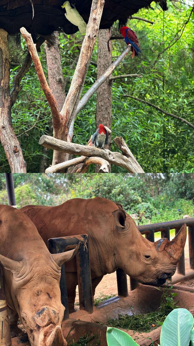 去動物園一定要這樣拍！