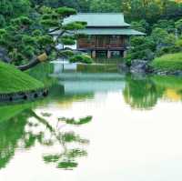 東京·清澄庭園 ：走過清澄白河的日式浪漫💕