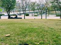 深圳南山區著名公園景點：深圳人才公園，適合拍照打卡、親子遊戲、觀光旅遊。 