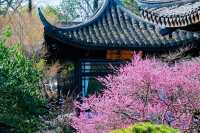 慧英高麗寺