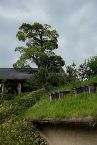 京都周邊避世古鎮・近江八幡Chill一日遊