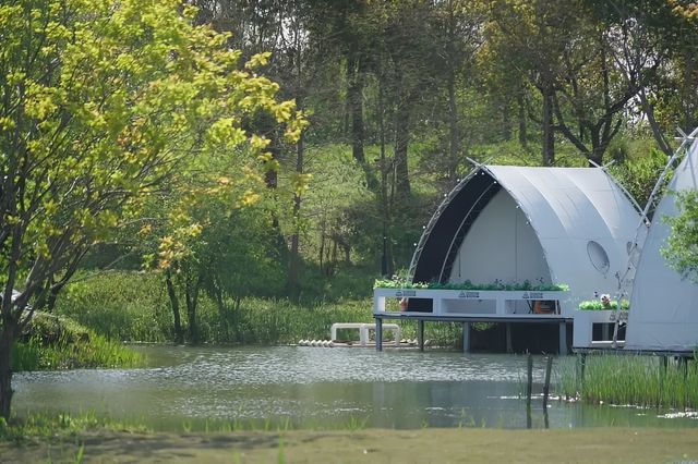 長興島濕地公園，春日治癒系被這裡承包了！