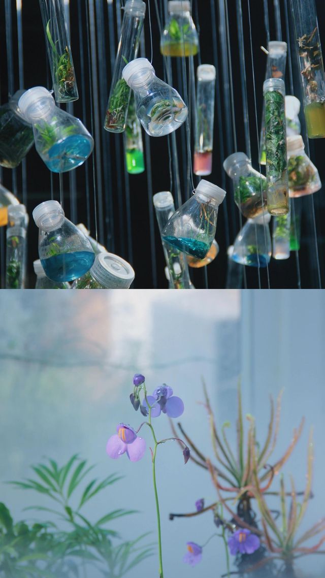 昆明植物園｜我不允許還有人沒去過。