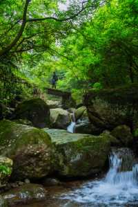 春天就要上春山，小小杏梅尖拿下！