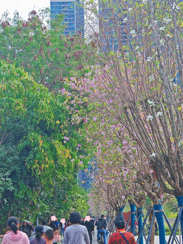 幫大家逛了深圳爆紅的公園，說點真心話