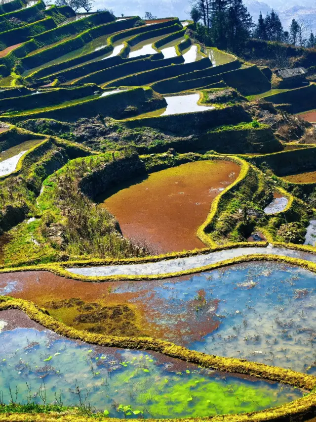 구이저우-윈난 8일 여행 완벽 가이드, 완벽한 여행을 위한 꿀팁!
