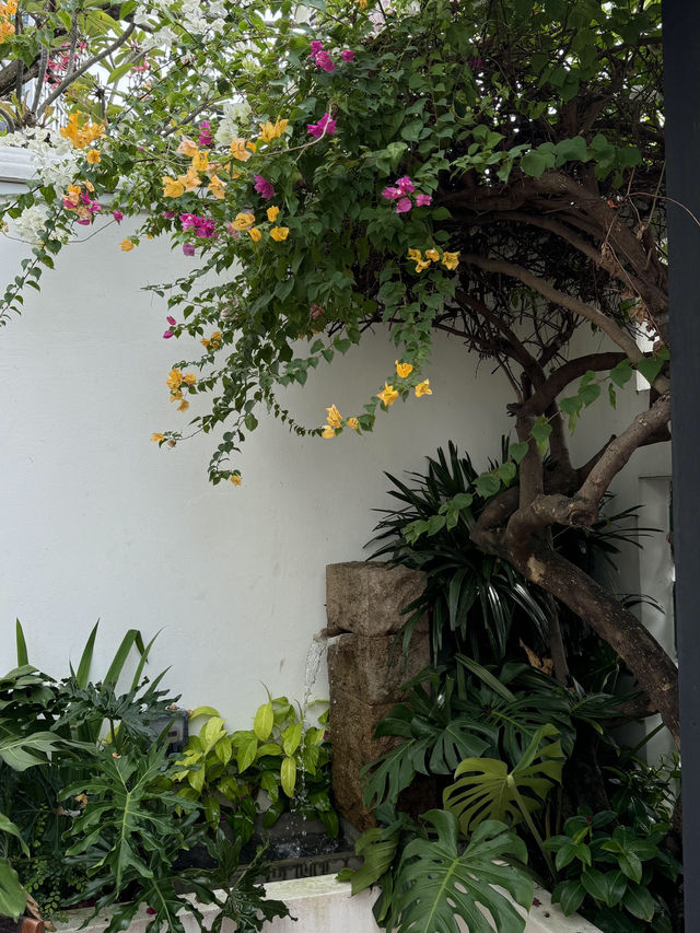  🇸🇬跟著咖啡香尋來的庭院咖啡館