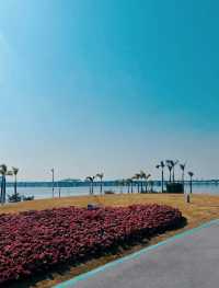 淡季城市輕旅行 | 前海石公園Citywalk全攻略 ——解鎖深圳西岸的橘子海與摩天輪浪漫 