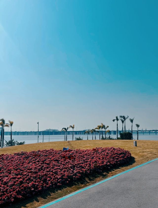 淡季城市輕旅行 | 前海石公園Citywalk全攻略 ——解鎖深圳西岸的橘子海與摩天輪浪漫 