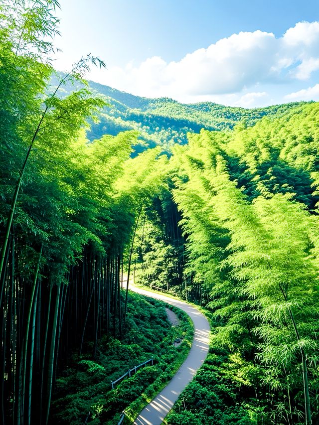 蜀南竹海藏着嘅神秘「綠密碼」，你能夠解開嗎？