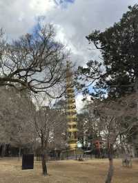 手向山神社：奈良的隱藏瑰寶⛩️🌸