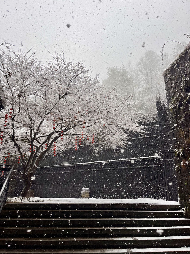 在金華邂逅了超美的雪景