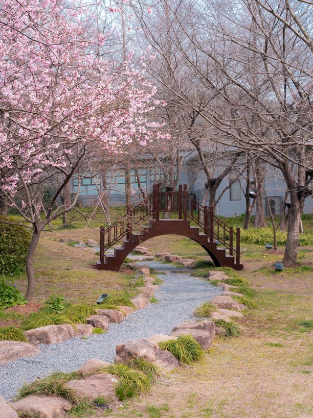 蘇州-無錫2日遊 玩轉雙城不重樣必收藏攻略