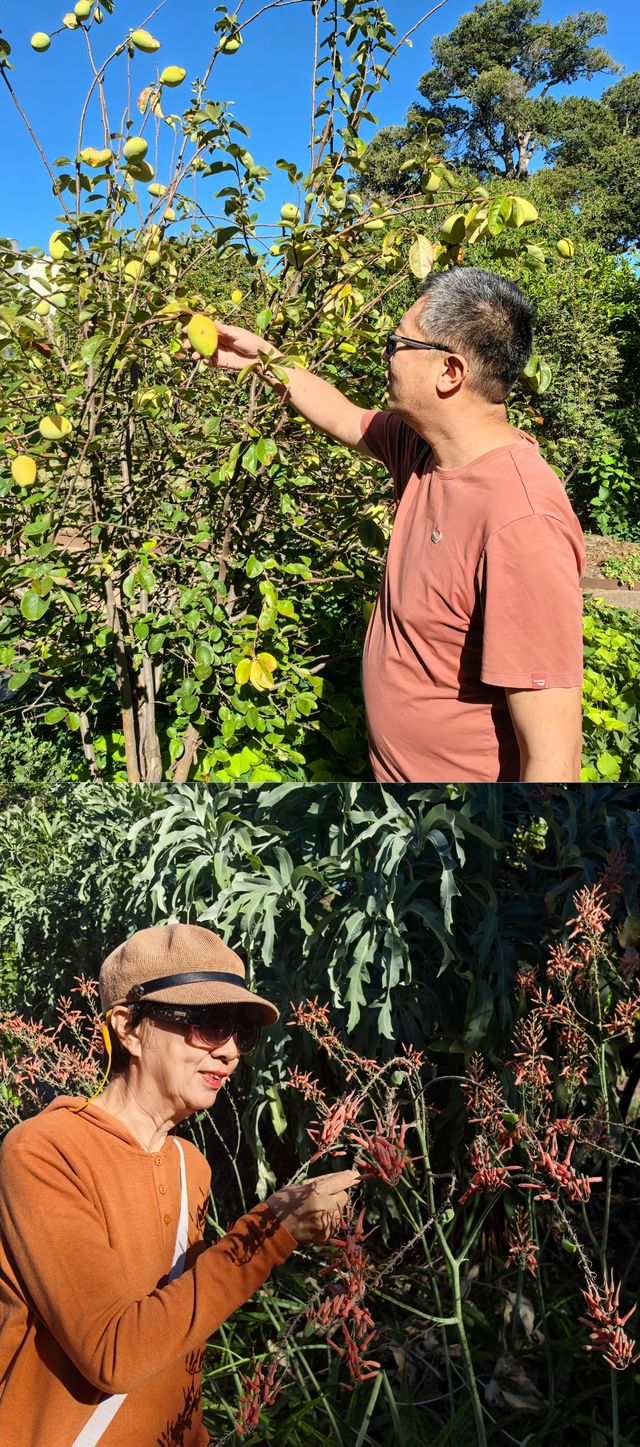 走進植物王國