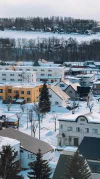 美瑛｜我願稱之為最北海道的城市 慢節奏
