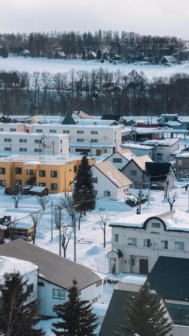 美瑛｜我願稱之為最北海道的城市 慢節奏

