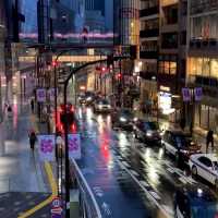 被澀谷夜櫻美到失語，東京限定浪漫