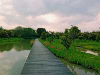 Haokun Wet Land Reserve: Ecological Treasure and Nature Beauty Museum