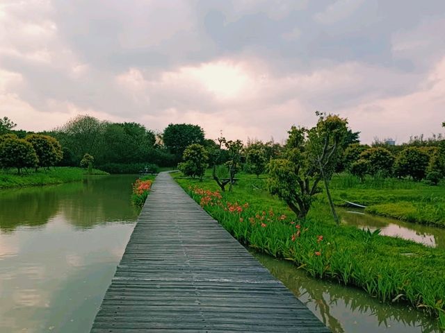 Haokun Wet Land Reserve: Ecological Treasure and Nature Beauty Museum