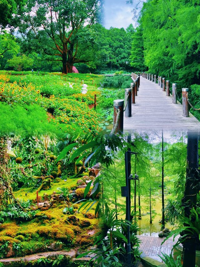 勇闖綠野仙蹤仙湖植物園
