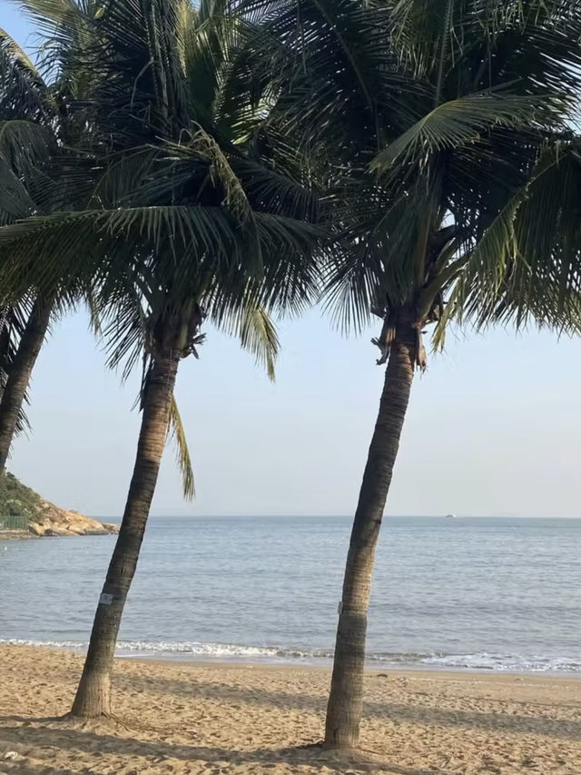 竹灣海灘：碧海白沙間的寧靜時光