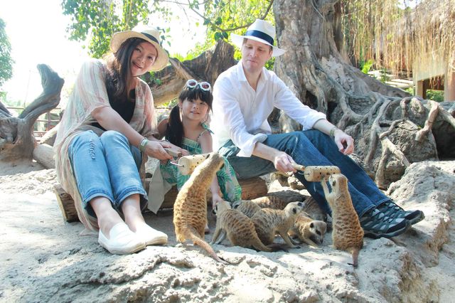 巴厘島野生動物園：與自然共舞的奇幻之旅