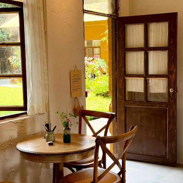 🌳深圳新開！藏在山裡的田園鄉村小院🍃