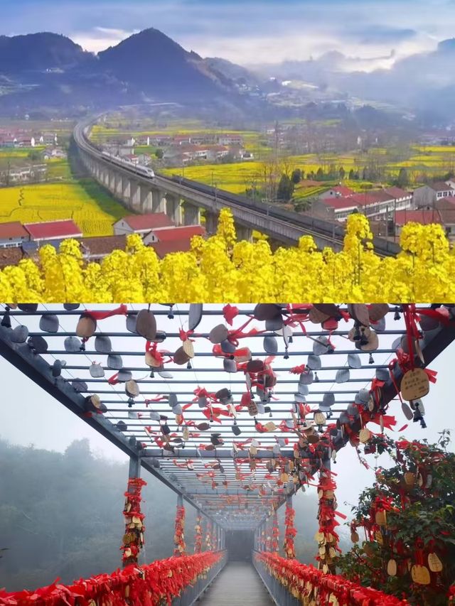 漢中已回，要去的姐妹慎重。