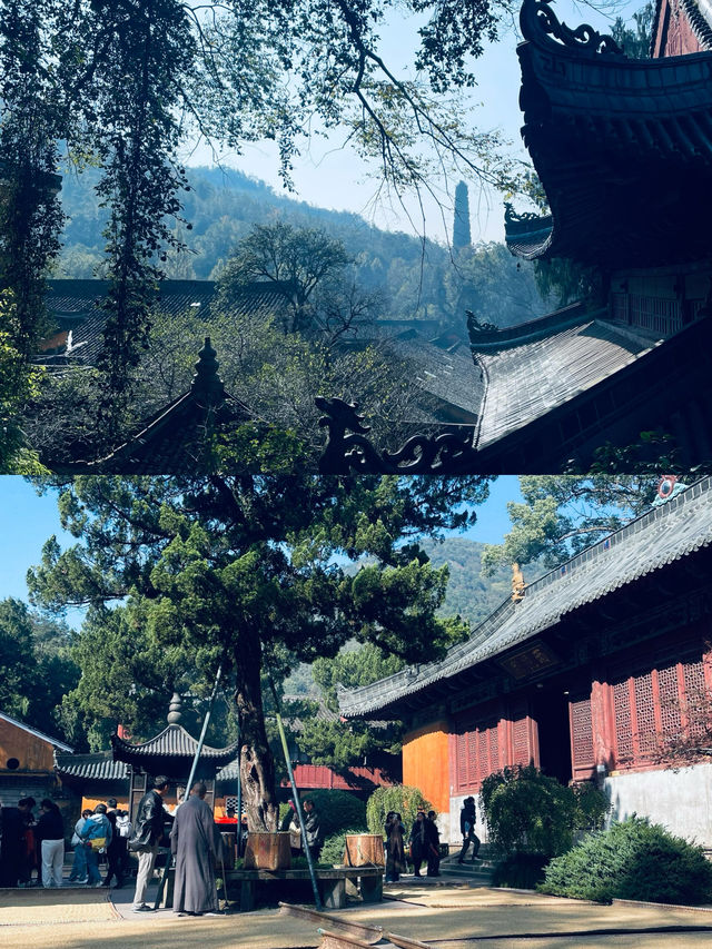 它會成為你的最佳選擇