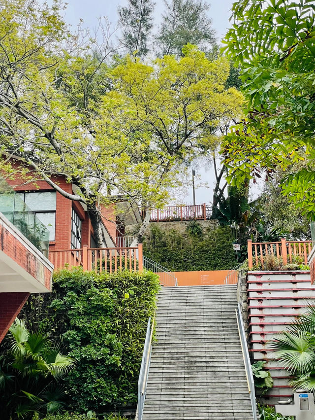 深圳煙墩山國際友好公園🌊