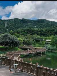 🌸深圳隱世花谷|簕杜鵑谷公園全攻略🌿