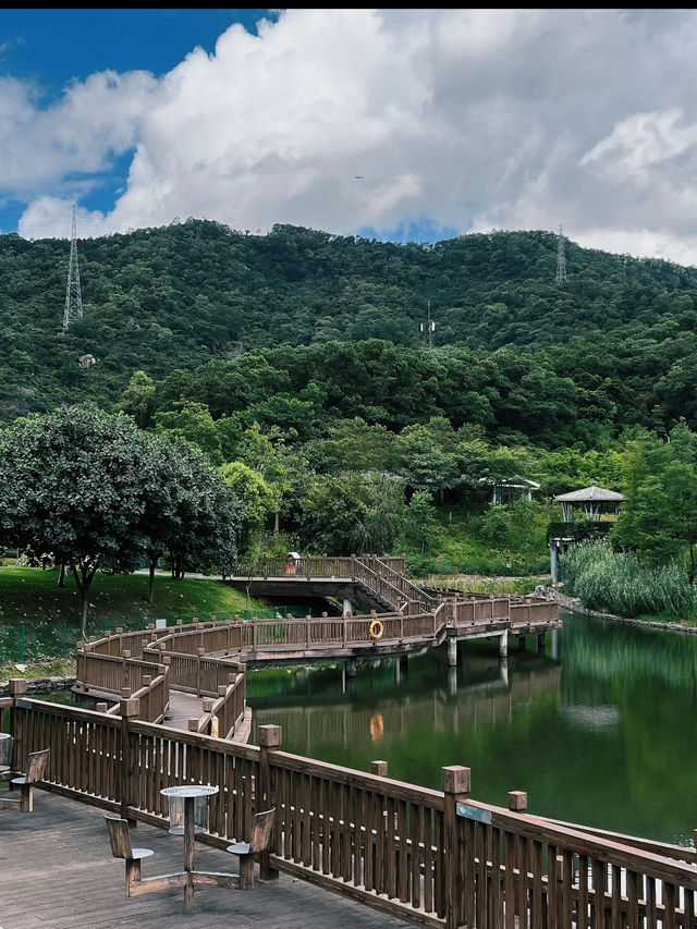 🌸深圳隱世花谷|簕杜鵑谷公園全攻略🌿 🌸深圳隱世花谷|簕杜鵑谷公園全攻略🌿