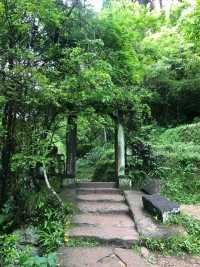 武夷山3天2夜｜吃喝玩樂超全旅遊攻略！！