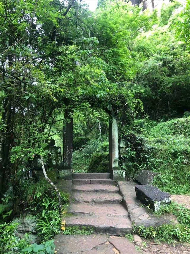 武夷山3天2夜｜吃喝玩樂超全旅遊攻略！！