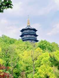 杭州蘇堤桃花踏青全攻略