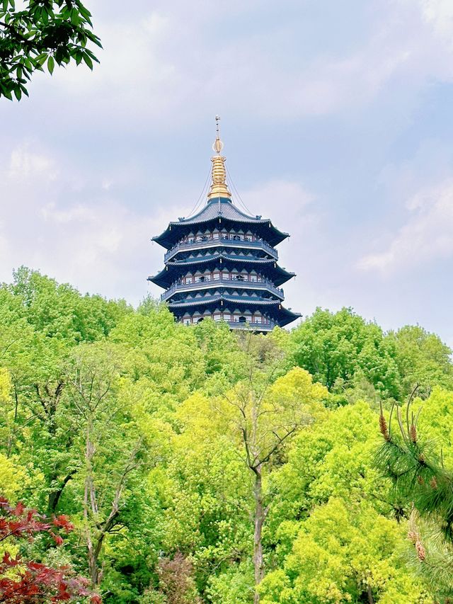 杭州蘇堤桃花踏青全攻略