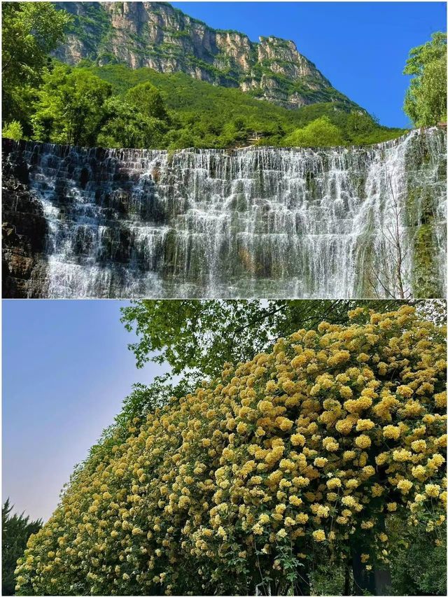 6個寶藏打卡地 五一輕鬆玩轉鄭州