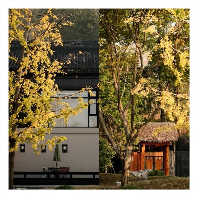 赤壁硝煙外的悠然居所｜享受無拘無束的體驗